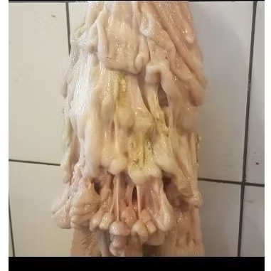 

Usus Kambing 1000 gram