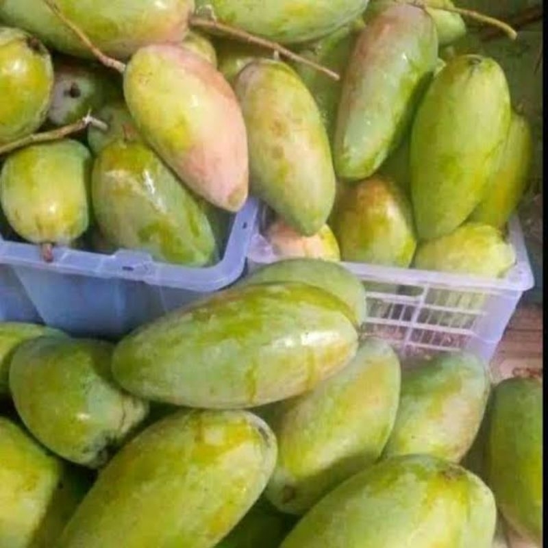 

MANGGA KYOJAY MANGGA THAILAND 1KG