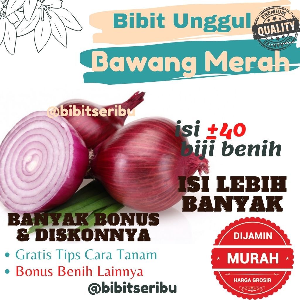 Bibit Bawang Merah Benih Sayuran dan Buah Siap Tanam Lengkap Bisa untuk Hidroponik