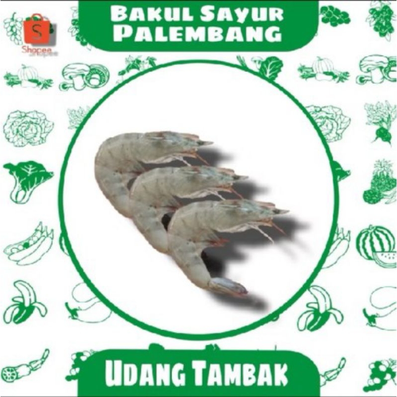 Udang Segar TAMBAK (PALEMBANG)