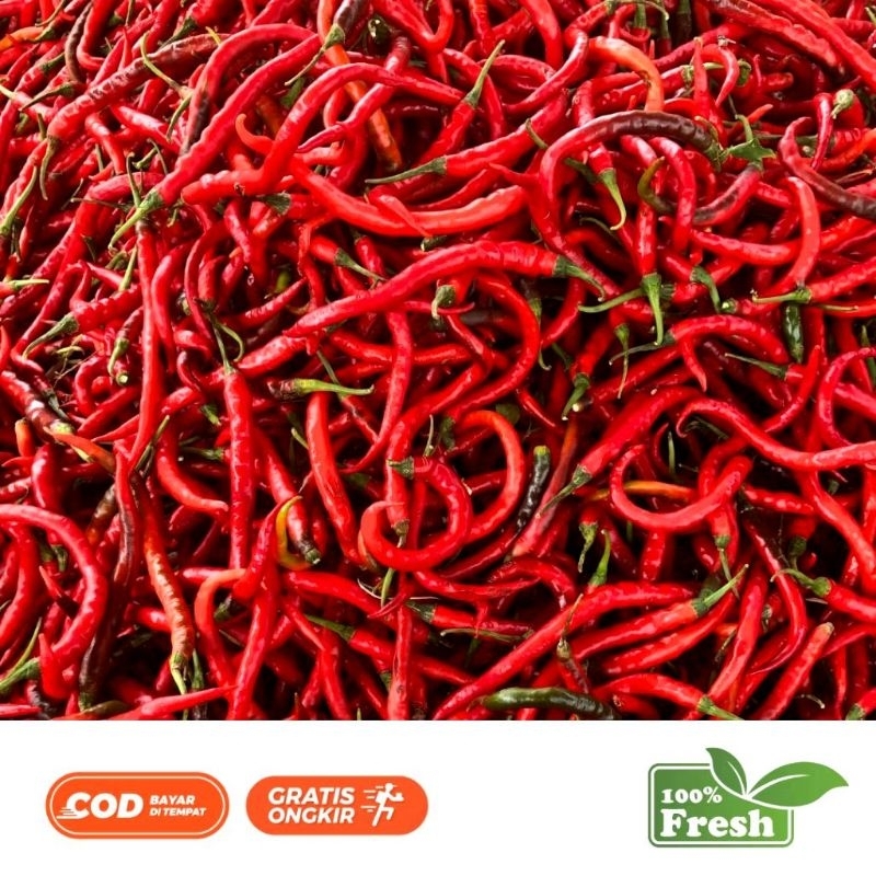 

Cabai Kriting Merah Ramping Original Langsung Petik Pohon 500GRAM/250GRAM