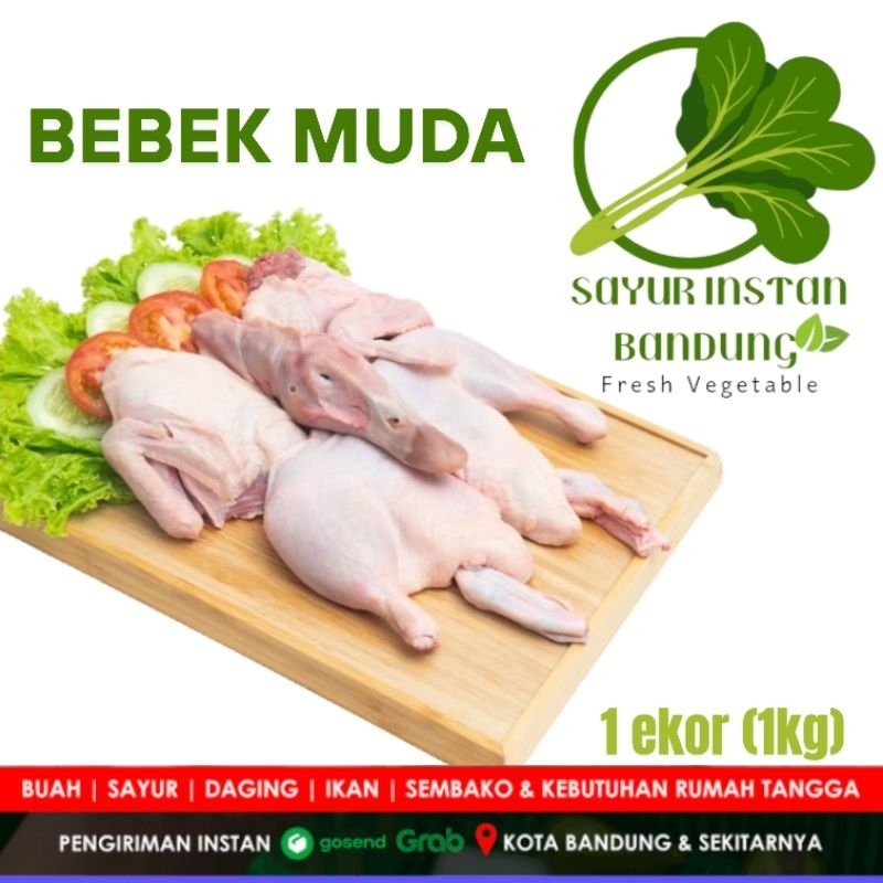 

BEBEK MUDA 1kg | BEBEK PEKING | BEBEK FRESH