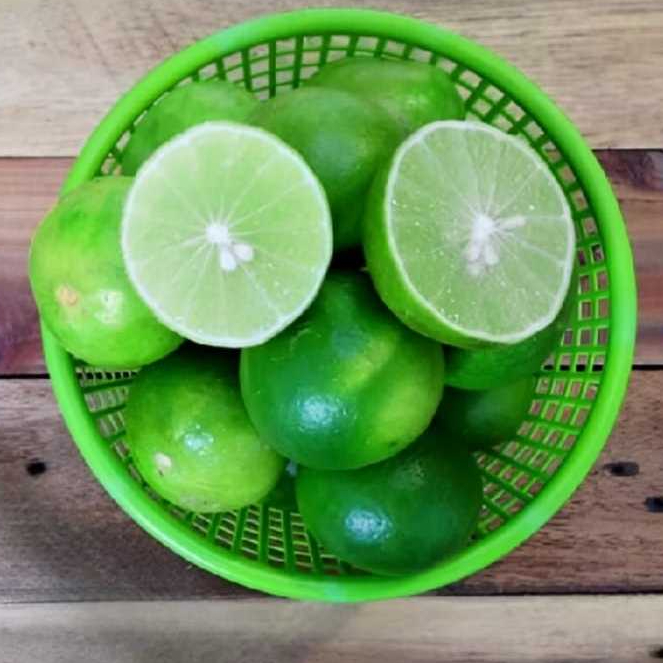 

Jeruk nipis 1kg ukuran besar dan kecil baru panen dari kebun