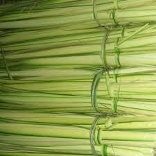 

daun kelapa muda/janur/100 biji