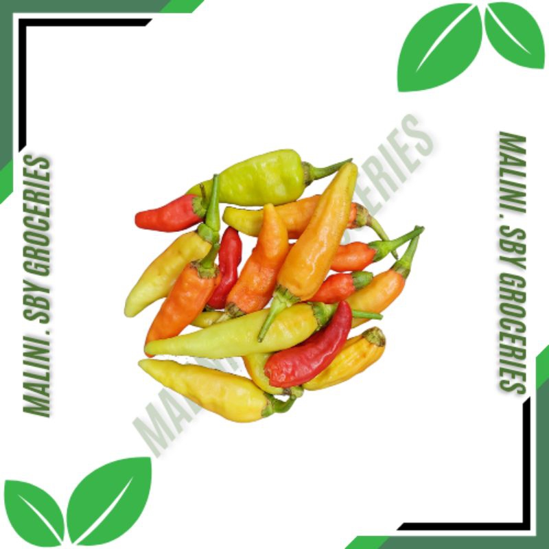 

CABAI RAWIT/LOMBOK RAWIT/CABAI FRESH(50GR)