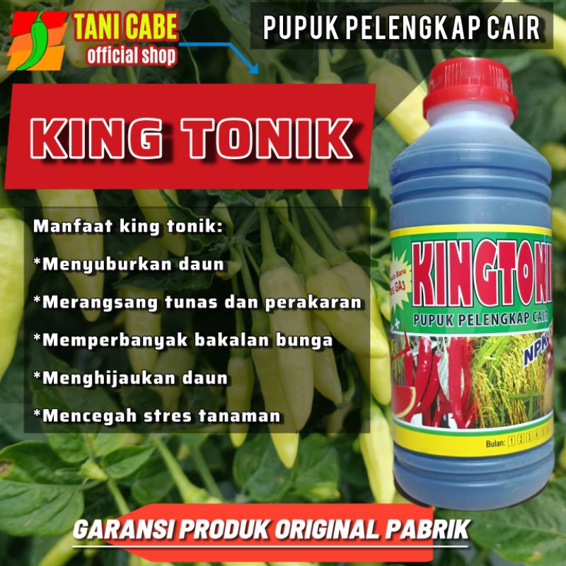 PUPUK DAUN KING TONIK PLUS GA3 MENYUBURKAN TANAMAN