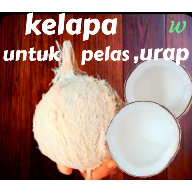

kelapa muda /kemelas bahan untuk urap dan pelas ukuran C(kecil)