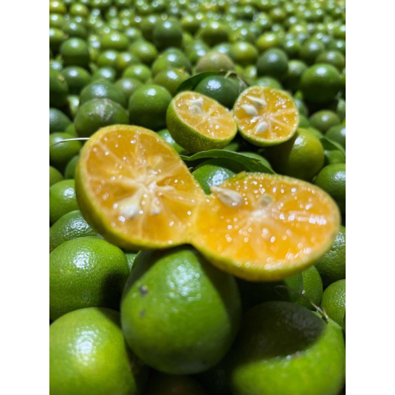 

500 grm jeruk songkit kasturi lemon cui