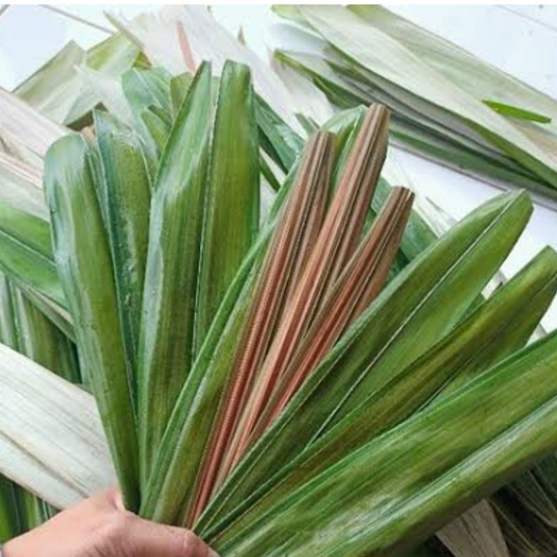 

Daun pohon salak segar 250 gram