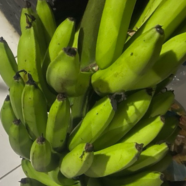 

Buah Pisang Matah ErBe 60 Gr Pisang Matah