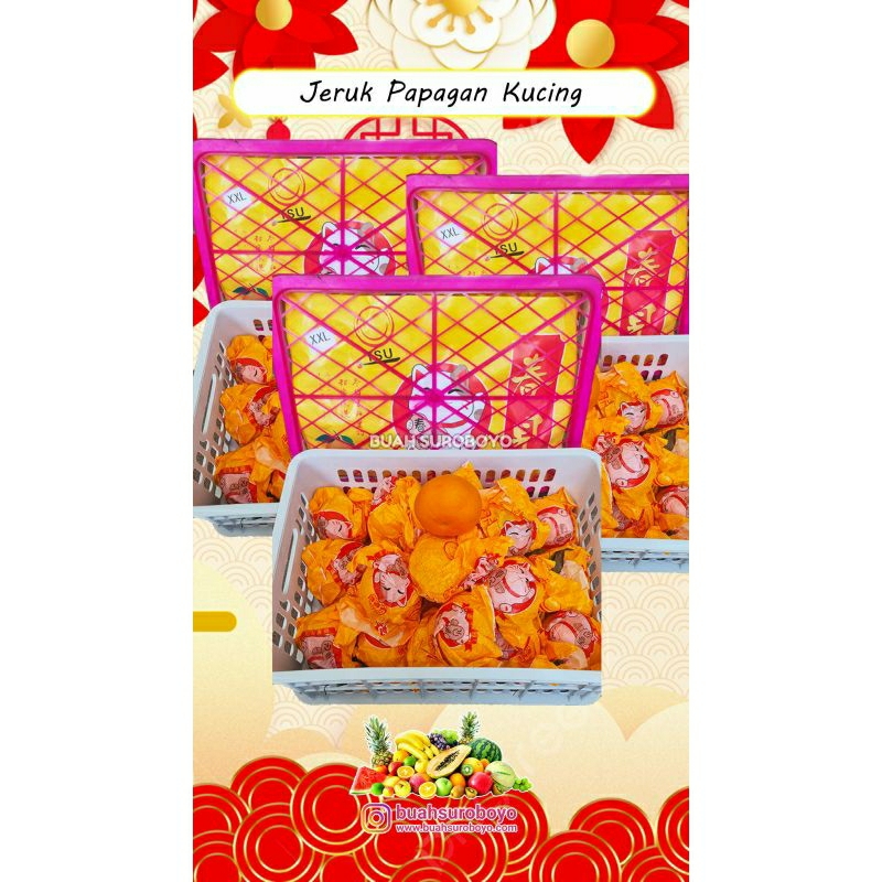 

Imlek Hampers Parcel Buah Jeruk Papagan (6kg)