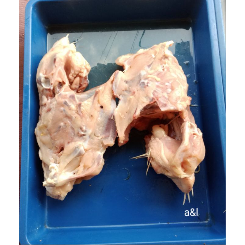 

kerongkong ayam basah masih banyak daging