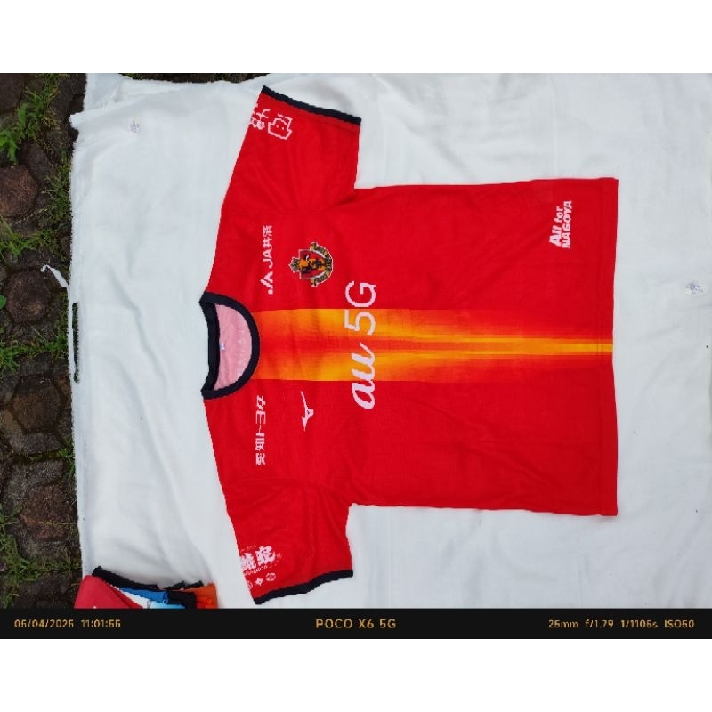 Jersey Nagoya grampus