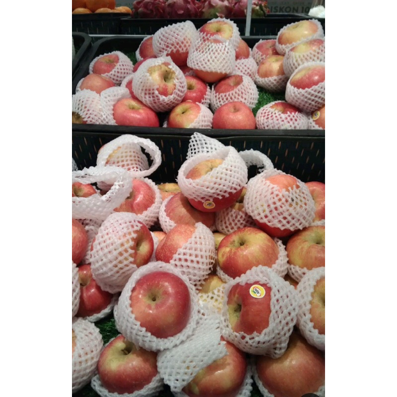 

APEL FUJI SUPER / APEL IMPORT BERKUALITAS 1 KG