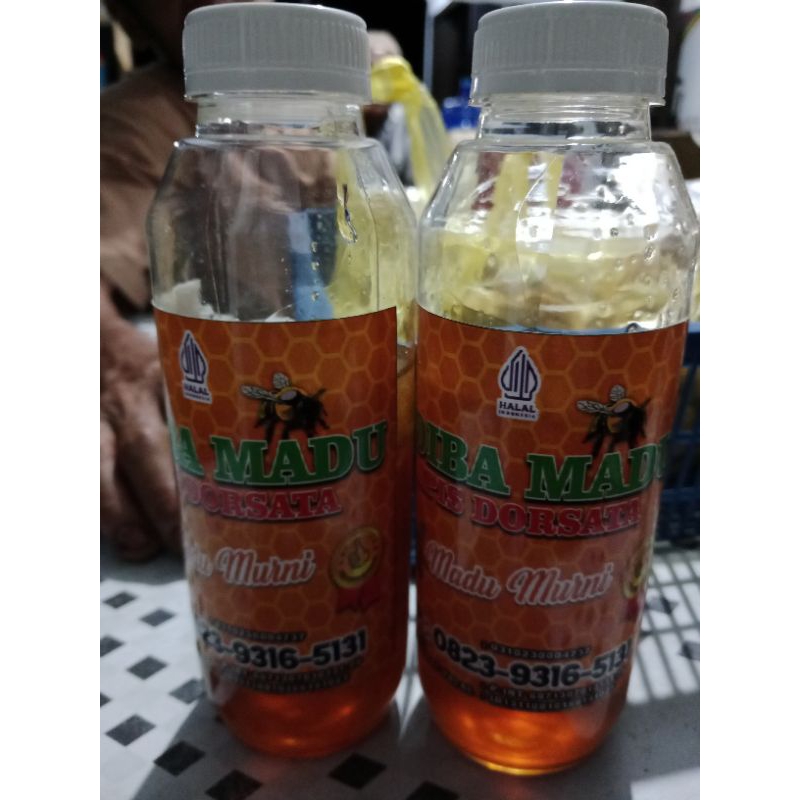 

Madu hutan liar
