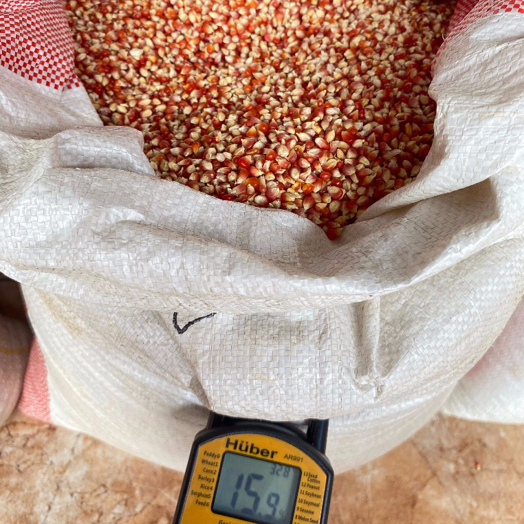 

Jagung Merah Kristal Semi Biji Timun Grade A 1kg