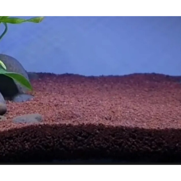 Pasir Malang Merah Aquascape