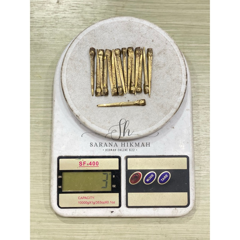 100% ORIGINAL - 5cm PAKU BUMI RAJAH PAKU KUNINGAN ASLI