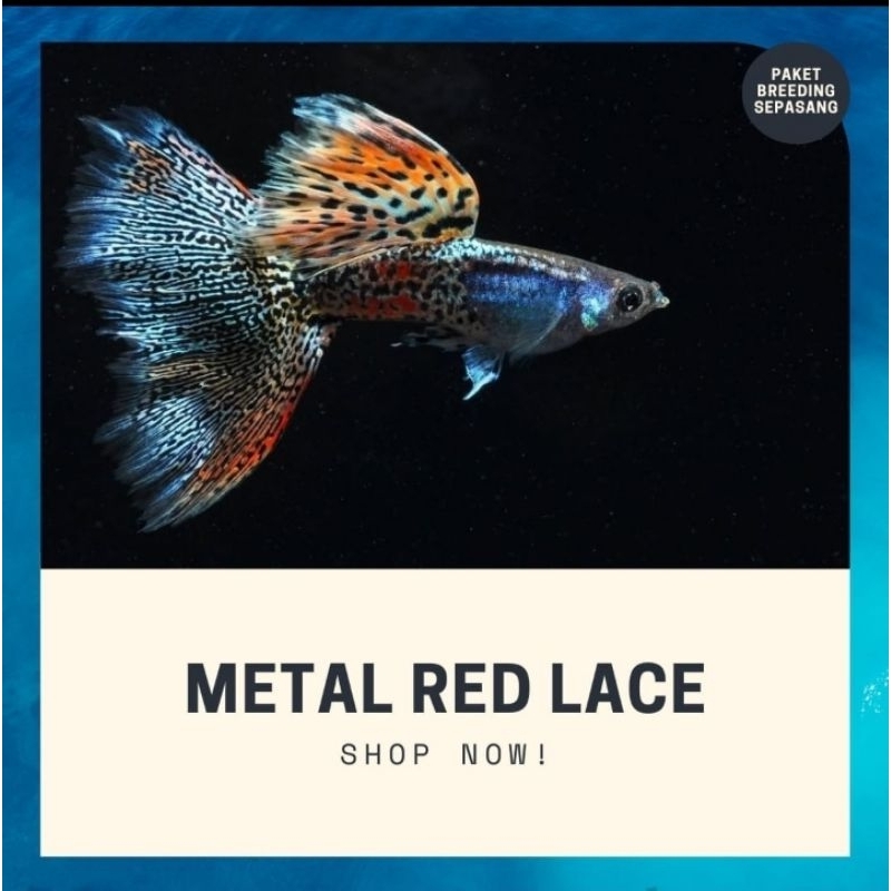 

Sticker Metal Snake Skin Red Lace