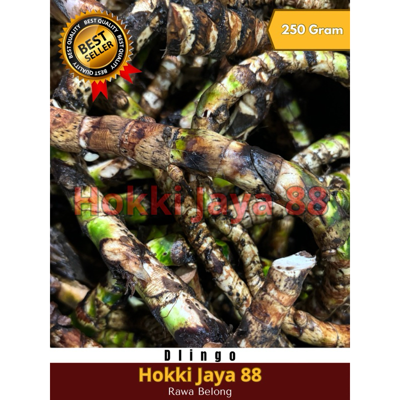 

Dlingo Jeringau Rawa Belong 250 gram