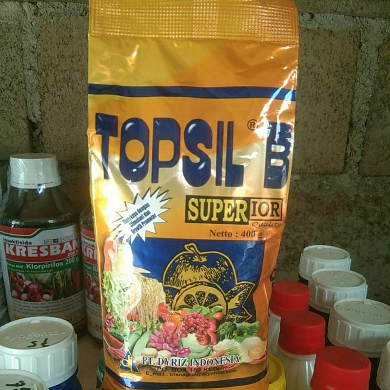 TOPSIL Buah 400Gr, Original Produk