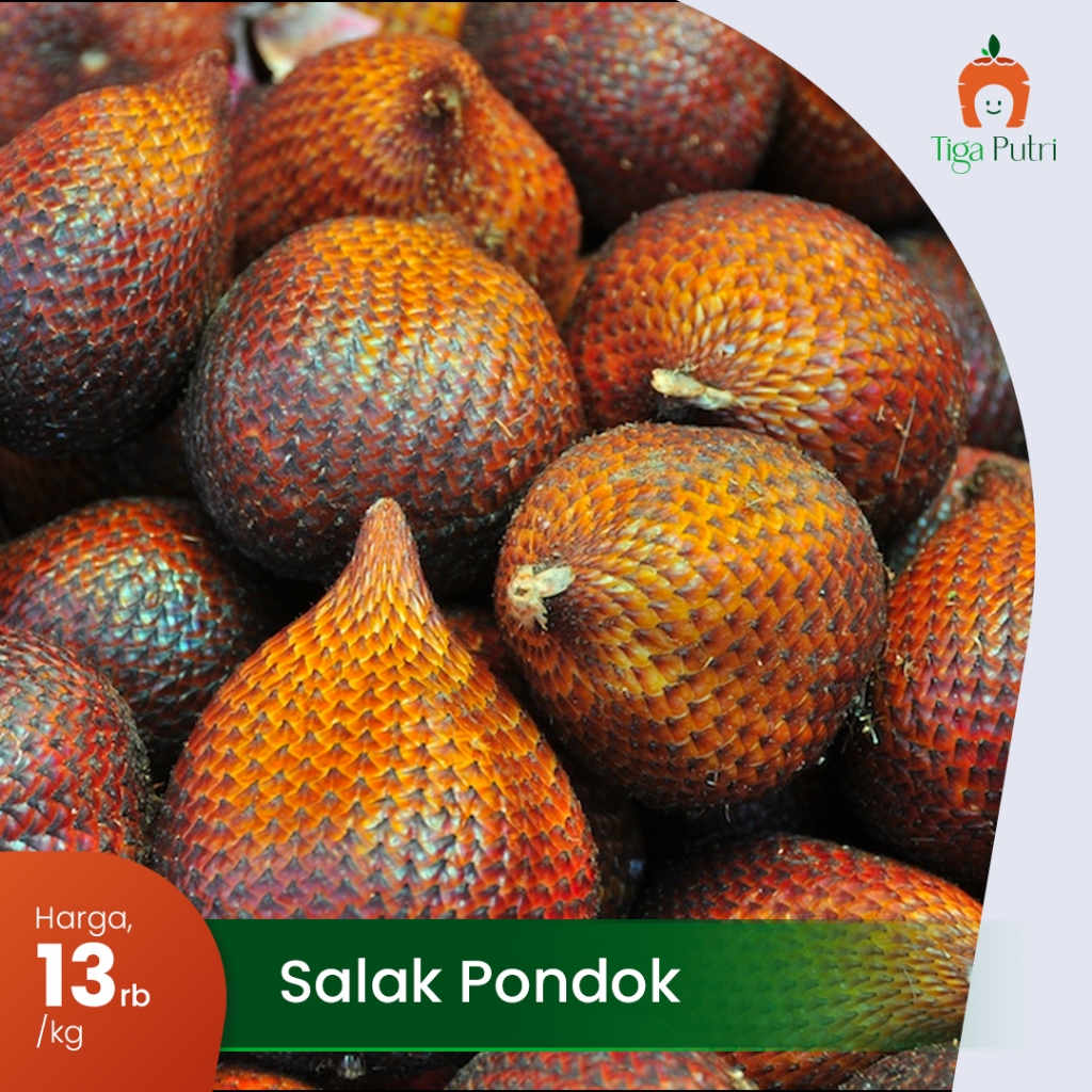 

SALAK PONDOK MANIS & TEKSTURNYA RENYAH