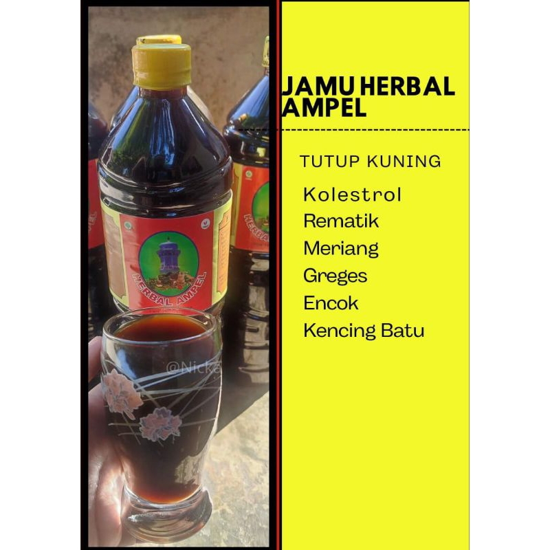 

Obat Kolesterol Reumatik Herbal Ampel 1.5L