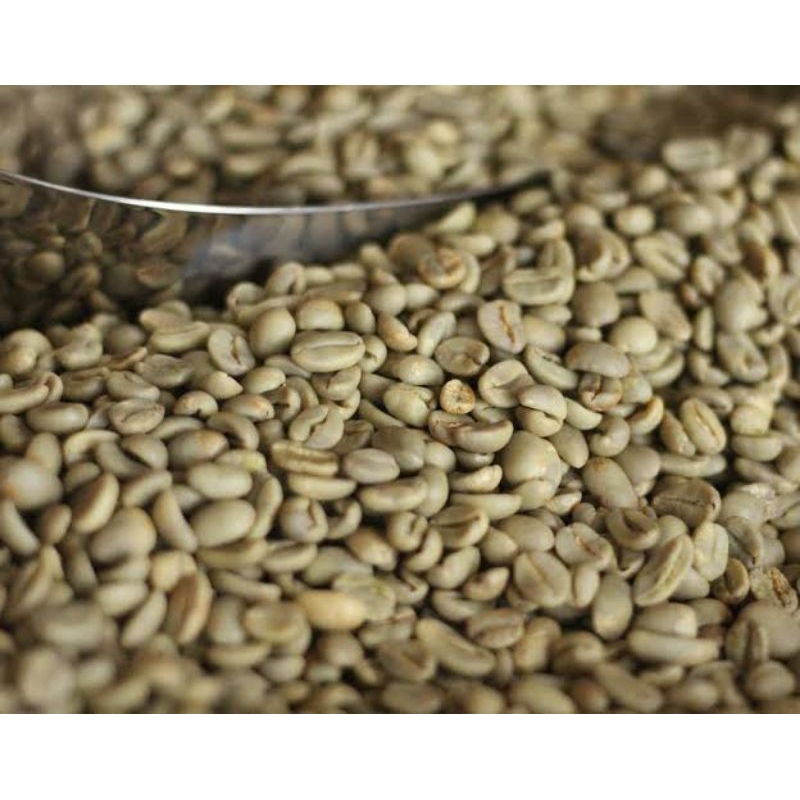 

Biji dan Bubuk kopi gayo