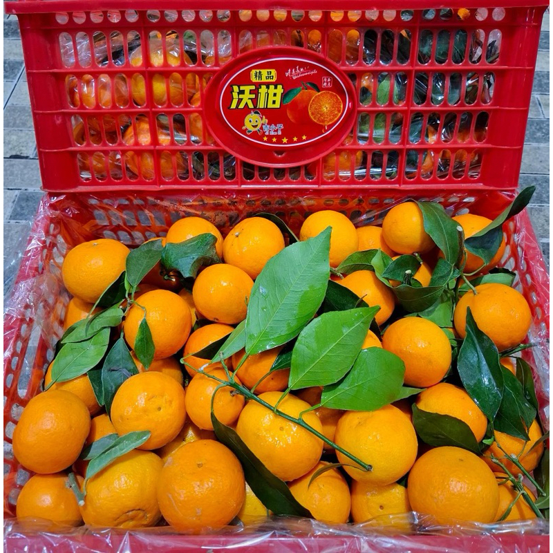 JERUK WOKAM BABY DAUN 6KG KRAT