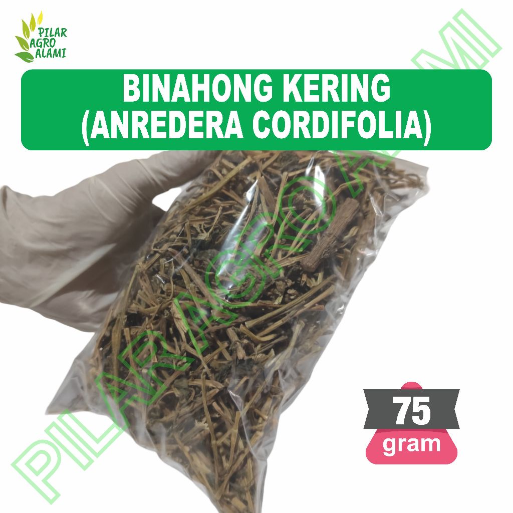 

Binahong Kering 75gr Asli Untuk Kesehatan