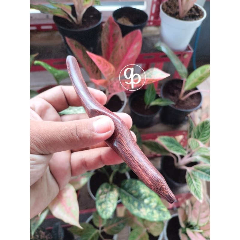 alat pijatan kayu galih asem