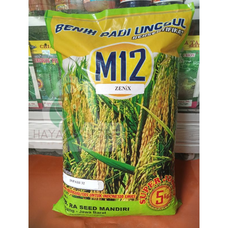 BENIH PADI INPARI 32 M12 SS PREMIUM