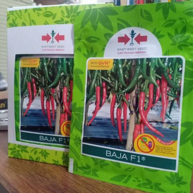 BENIH CABE BESAR BAJA F1 10 GRAM