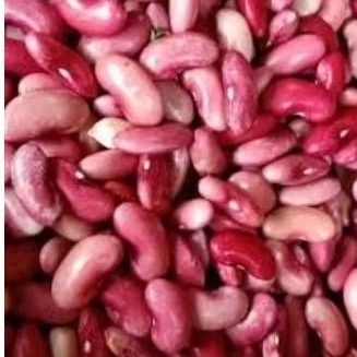 

kacang merah