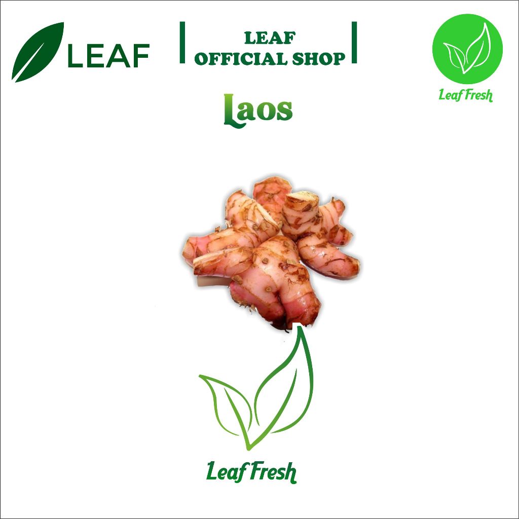 

TOGA EMPON-EMPON LAOS BY LEAF FRESH