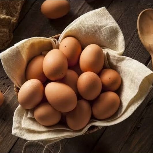 

Telur Ayam Fresh