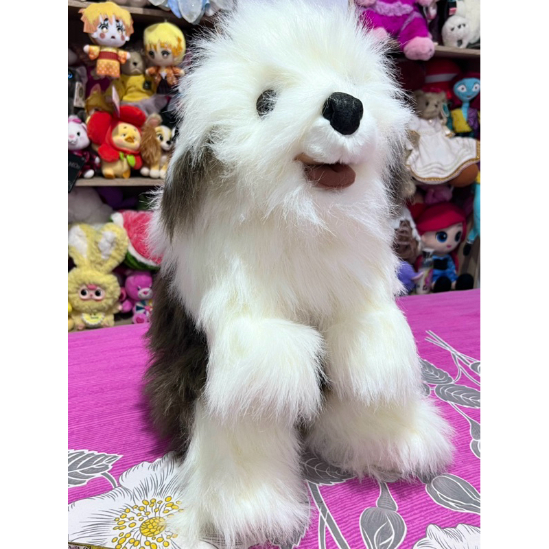 Boneka Anjing Gembala Sheep Dog/Bearded Collie warna putih abu 50 Cm