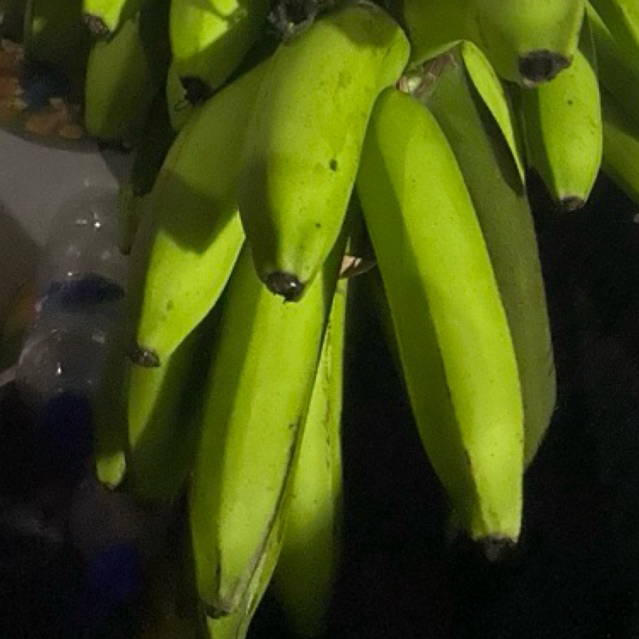 

Buah Pisang Matah Fil Ec 1 Kg Pisang Mentah