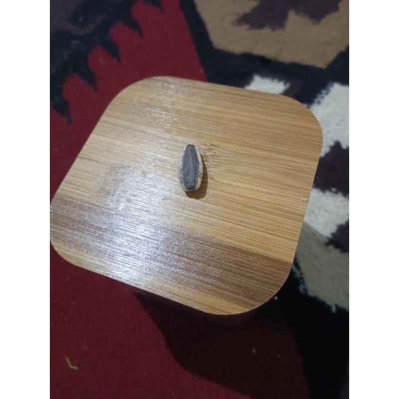 

kuaci 1 butir