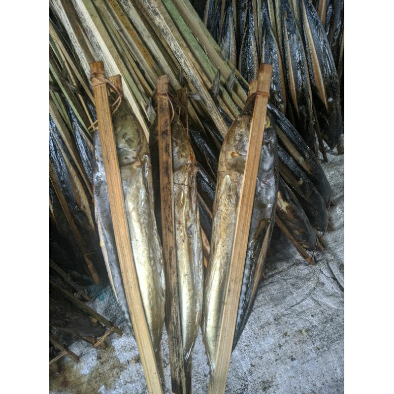 

ikan tongkol asapan harga bijian