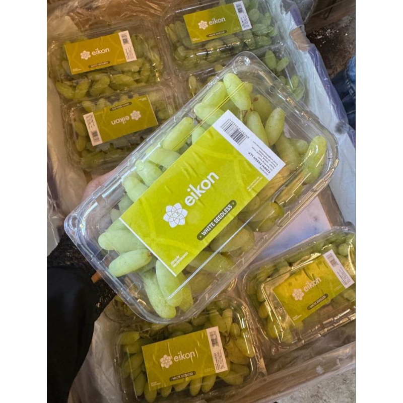 

ANGGUR JARI/SAPHIRE HIJAU PACK 500GR