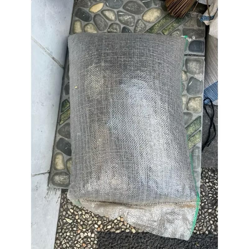 MEDIA TANAM PASIR MALANG KASAR