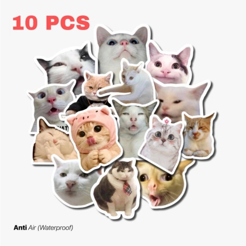 

10pcs MEME KUCING STIKER LAPTOP HELM TUMBLR HP SKENA STICKER VYNIL WATERPROOF KEKINIAN