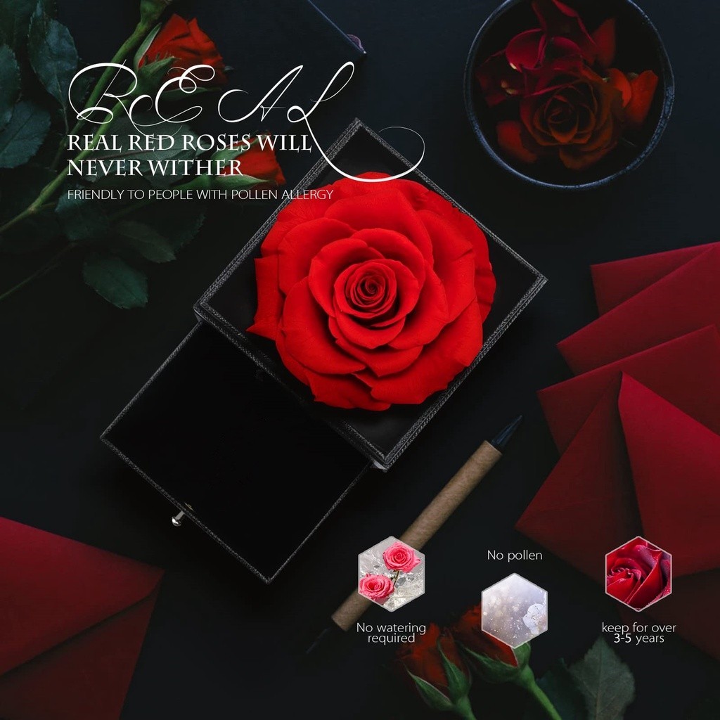 

Promise Box Mawar Asli- Hidden Jewelry / Box Cincin Nikah Lamaran / Diputar/ Hadiah Pasangan / Box Kalung Gelang / Kotak Kalung / Tempat Cincin / Tempat Kalung