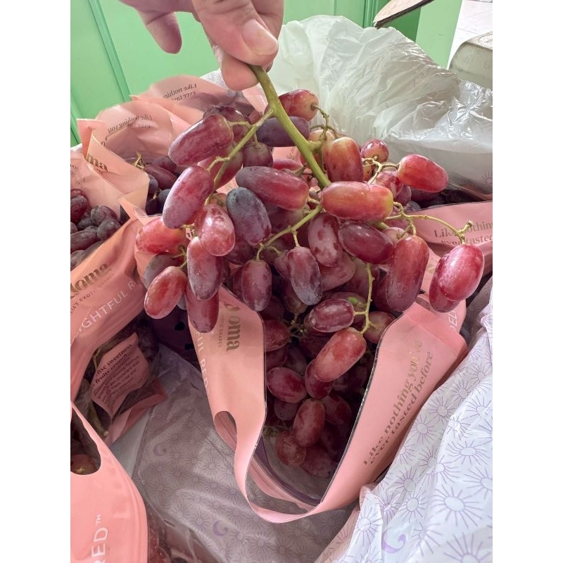 

Anggur merah crimsons seedlees