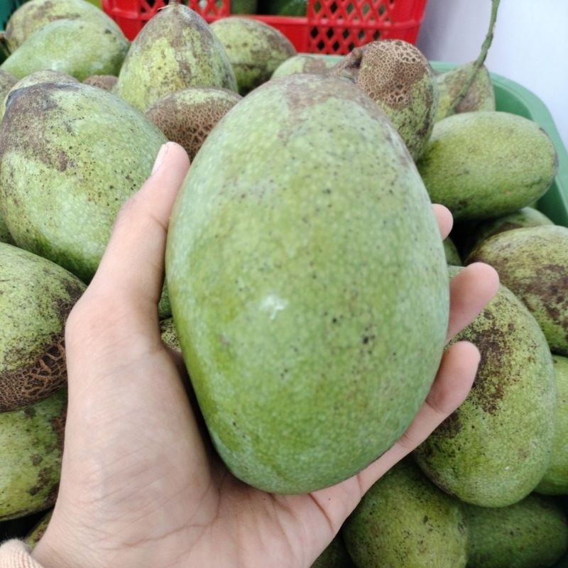 Mangga Manalagi 1kg isi 3-4buah