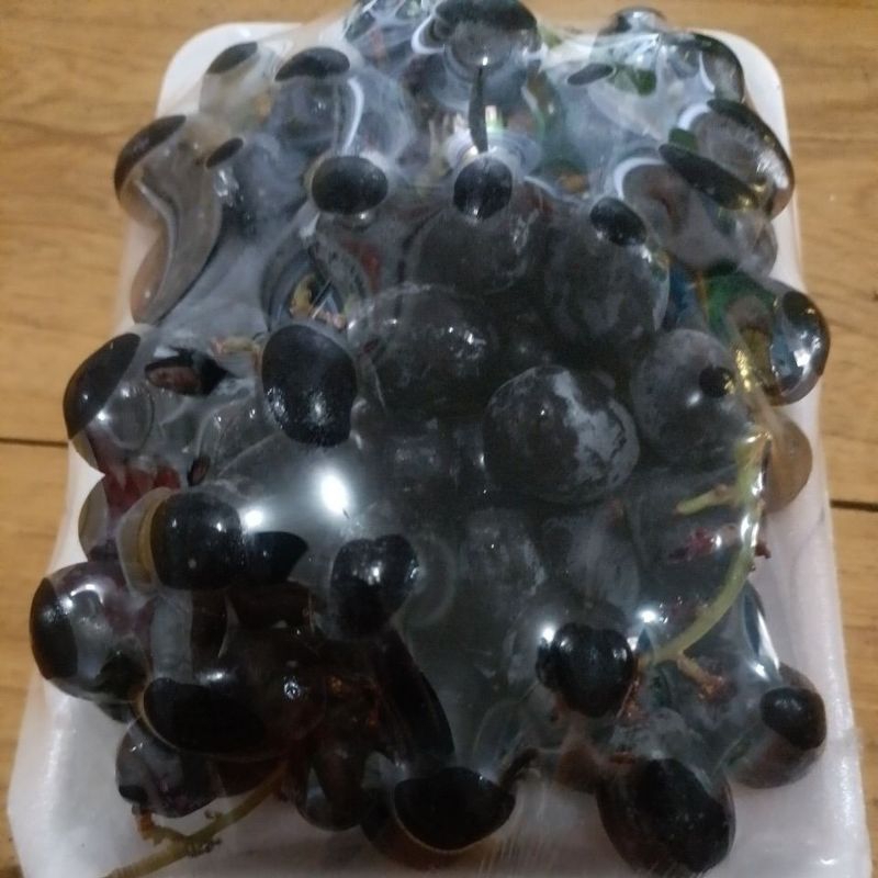 

anggur hitam autumn import