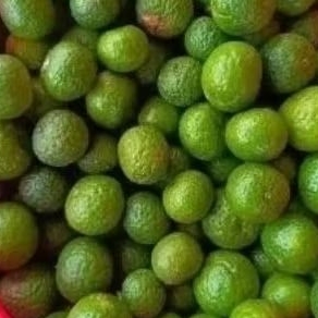 

jeruk limo 500 gram