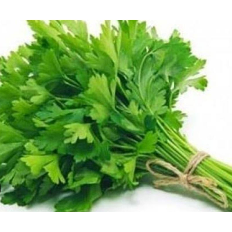 

daun seledri segar super bagus fress 1kg