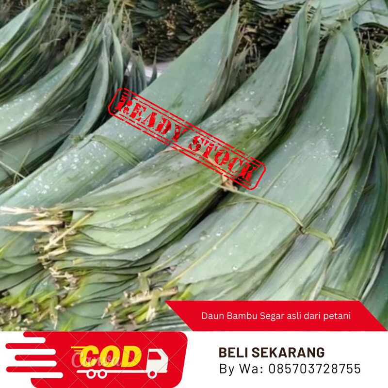 

Promo 100 lembar daun bambu untuk bacang/Daun bambu Segar